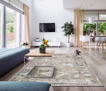 62a1ae4743a967c82428489ca779f56b