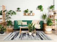 bc9d1466c18ab3b07dfb033cd82ab212