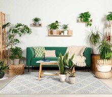 804887b15d4baadd56fcc8bc0f11c733