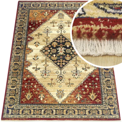 Dywan z frędzelkami o gęstym splocie tradycyjny dywan do salonu ekskluzywny dywanik do sypialni Paris (86881-41745), 160x225 cm