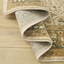 1e00a5040c182bb022601181f4cc4ed7