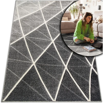 DYWAN DO SALONU 3d ROMANTIC CZARNY DYWAN DO PRZEDPOKOJU FRYZ (56371-16811),  60x110 cm