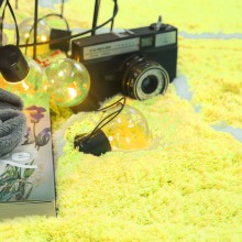 aac0f37728f3f585fc7edcff0639563b